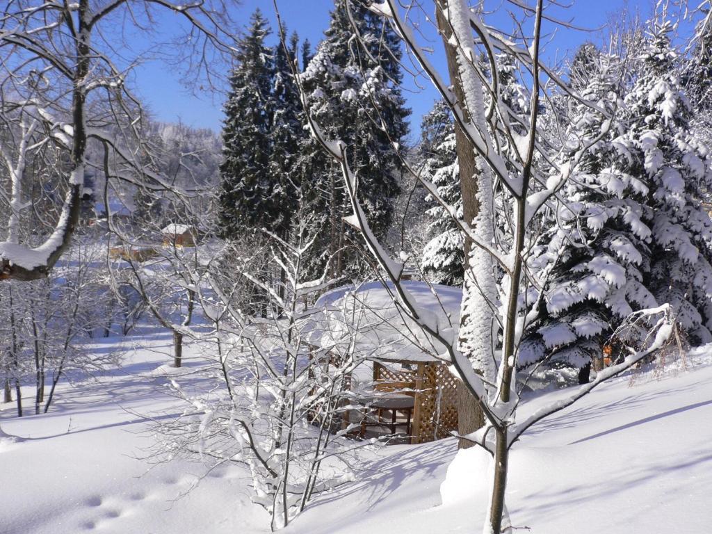 Hotel Villa Romantica Szklarska Poręba Eksteriør bilde